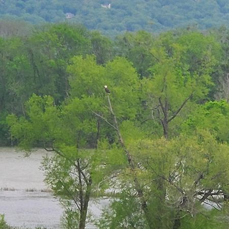 Williams Island Room At Tennessee Riverplace Chattanooga Ngoại thất bức ảnh