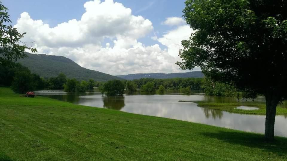 Williams Island Room At Tennessee Riverplace Chattanooga Ngoại thất bức ảnh